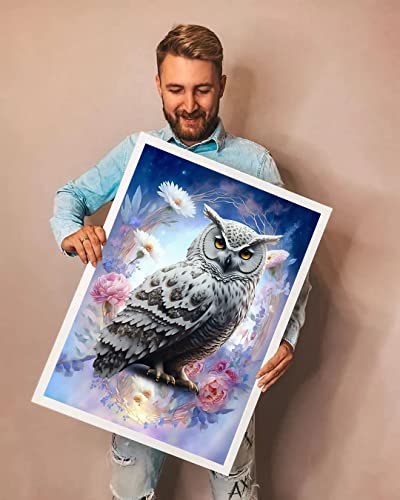 Owl | Diamond Painting