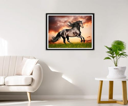 Black Horse | Diamond Painting