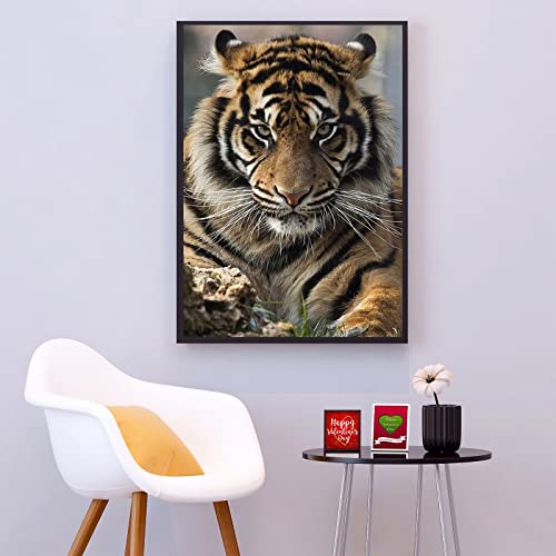 Tiger | Diamond Painting