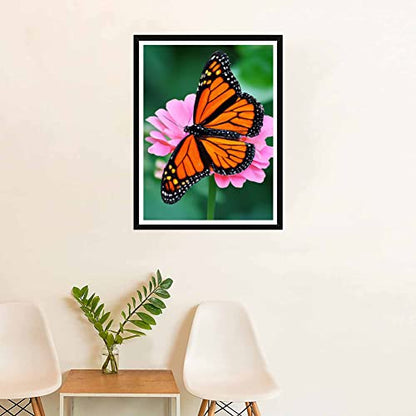 Monarch Butterfly | Diamond Painting