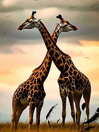 Giraffe | Diamond Painting