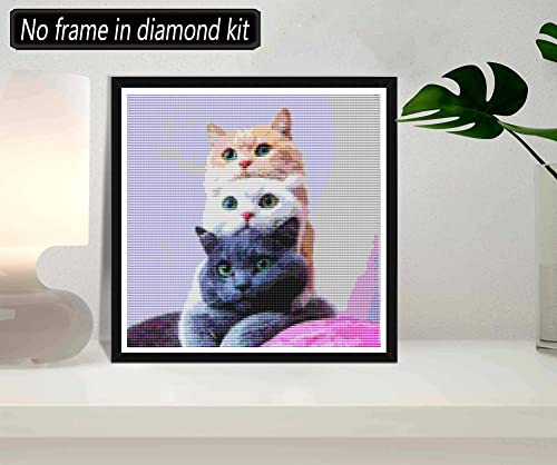 Cat | Diamond Painting