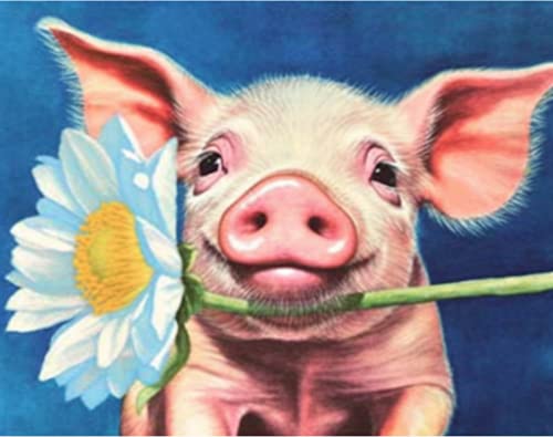 Pig | Diamond Painting