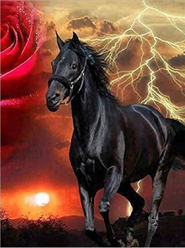 Black Horse | Diamond Painting