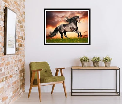 Black Horse | Diamond Painting