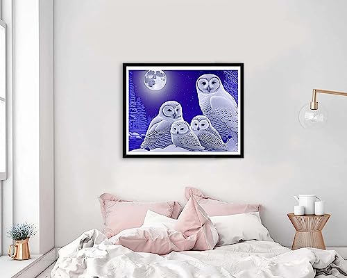 White Owl | Diamond Painting