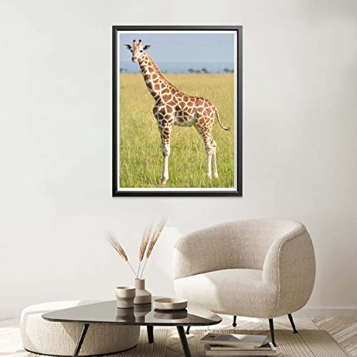 Giraffe | Diamond Painting