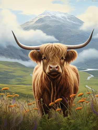 Highland Cow | Diamond Painting