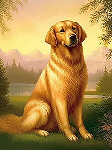 Golden Retriever Dog | Diamond Painting
