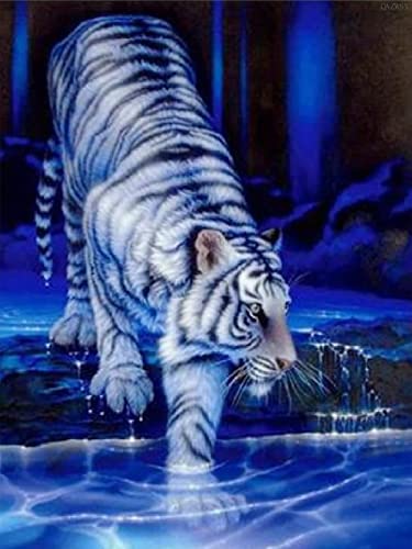 White Tiger Blue Eyes | Diamond Painting