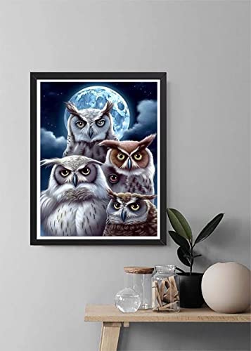Owl | Diamond Painting