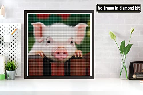 Pig | Diamond Painting