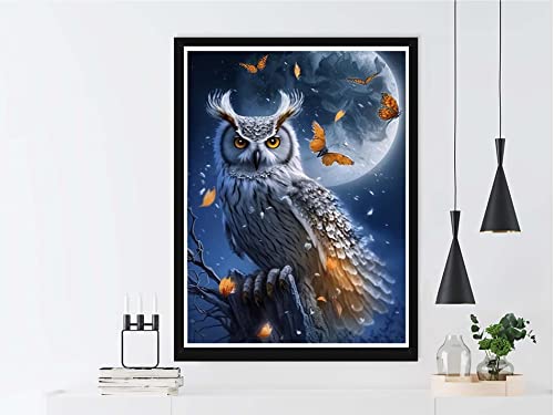 Owl | Diamond Painting