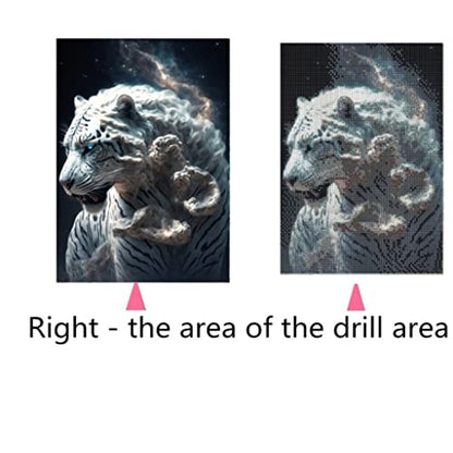 Tiger | Diamond Painting