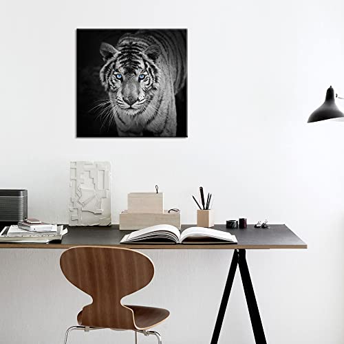 White Tiger Blue Eyes | Diamond Painting