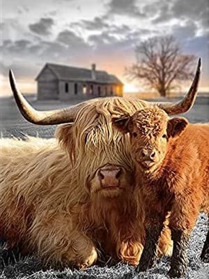 Highland Cow | Diamond Painting