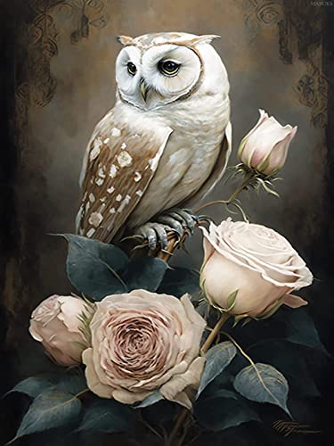 Owl | Diamond Painting