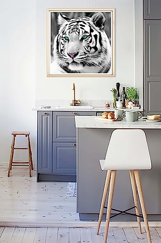 White Tiger Blue Eyes | Diamond Painting