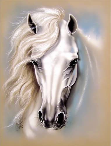 White Horse | Diamond Painting