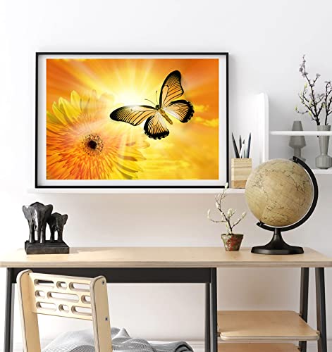 Monarch Butterfly | Diamond Painting