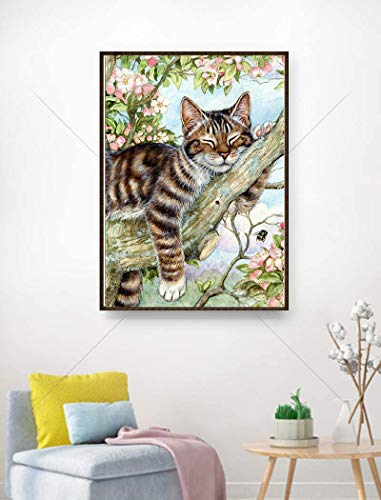 Cat Maine Coon | Diamond Painting