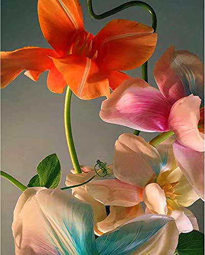 Iris | Diamond Painting