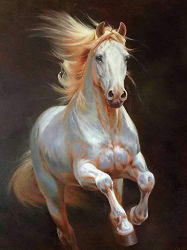 White Horse | Diamond Painting