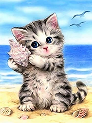 Cat Maine Coon | Diamond Painting