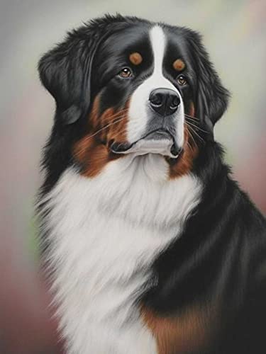 Bernese Mountain Dog | Diamond Painting