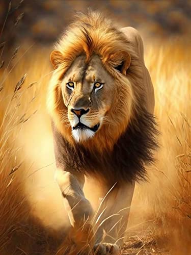 Lion | Diamond Painting