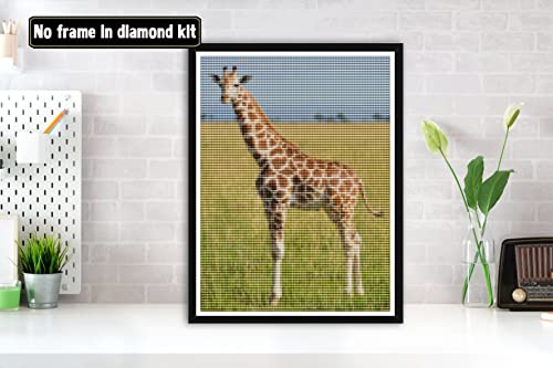 Giraffe | Diamond Painting