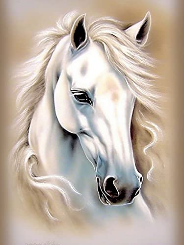 White Horse | Diamond Painting
