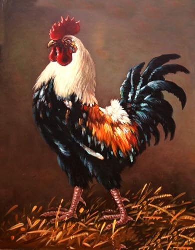 Chicken | Diamond Painting