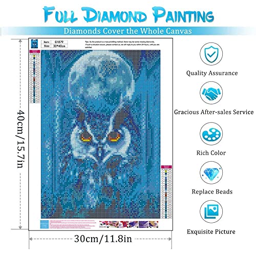 Owl | Diamond Painting