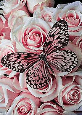 Butterfly | Diamond Painting