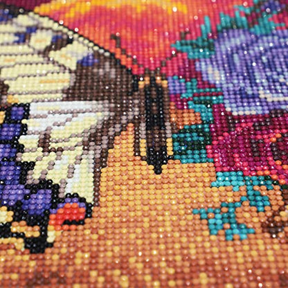 Butterfly | Diamond Painting