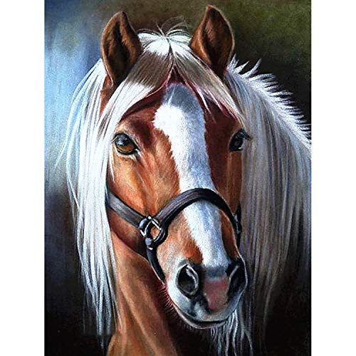 Horse | Diamond Painting