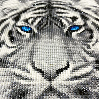 White Tiger Blue Eyes | Diamond Painting