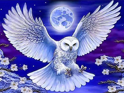 White Owl | Diamond Painting