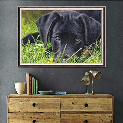 Dog Great Dane | Diamond Painting