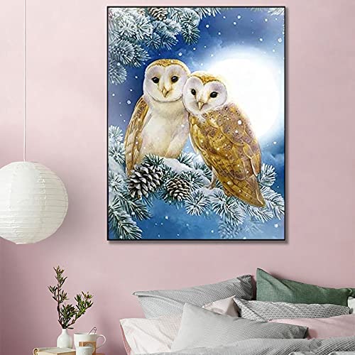 Owl | Diamond Painting