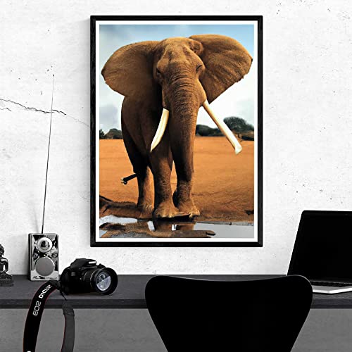 Elephant | Diamond Painting