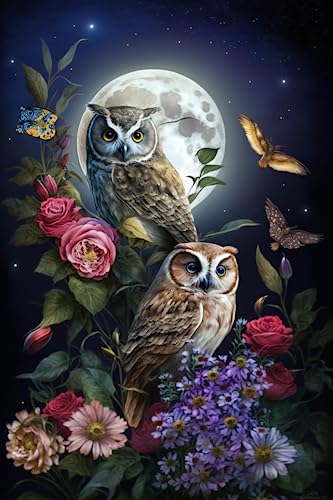 Owl | Diamond Painting