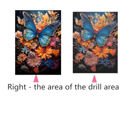 Butterfly | Diamond Painting