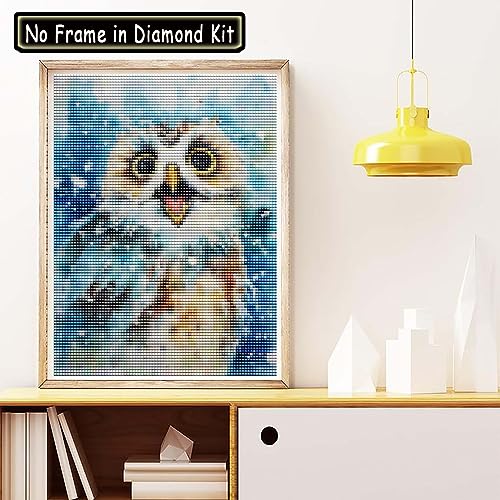 Owl | Diamond Painting