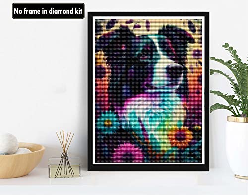 Dog Border Collie | Diamond Painting