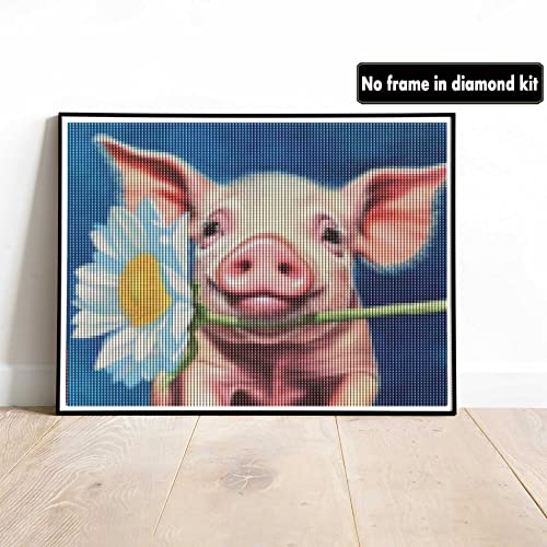 Pig | Diamond Painting