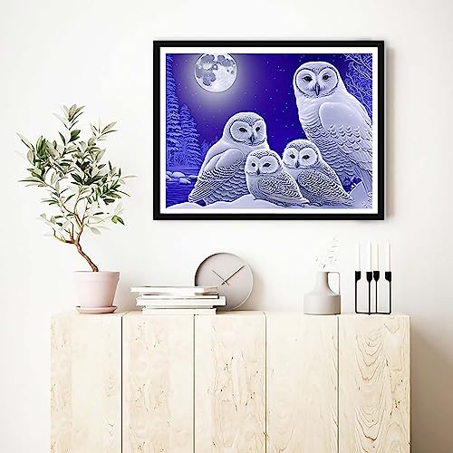 White Owl | Diamond Painting