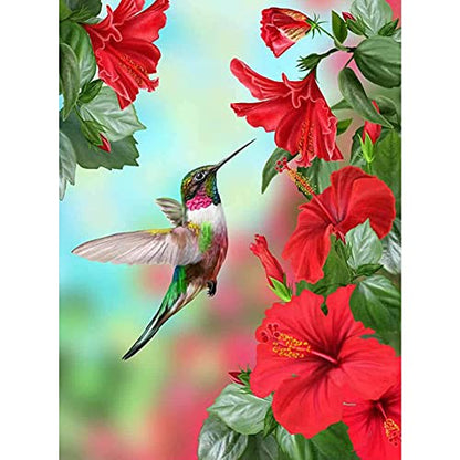 Hummingbird | Diamond Painting