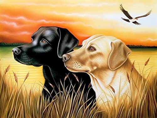 Black Yellow Labrador Dog | Diamond Painting